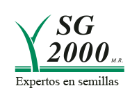 Imagen Gráfica Publicidad